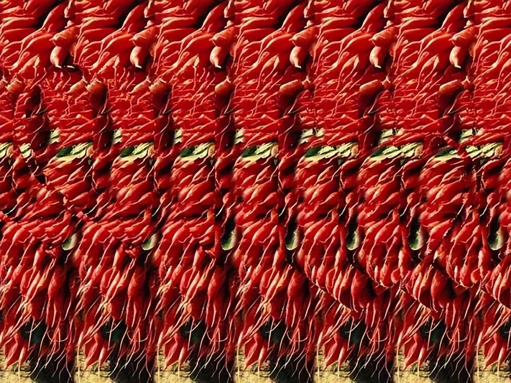 来了,来了,三维立体图来啦! 你能发现它里面的奇妙世界么?