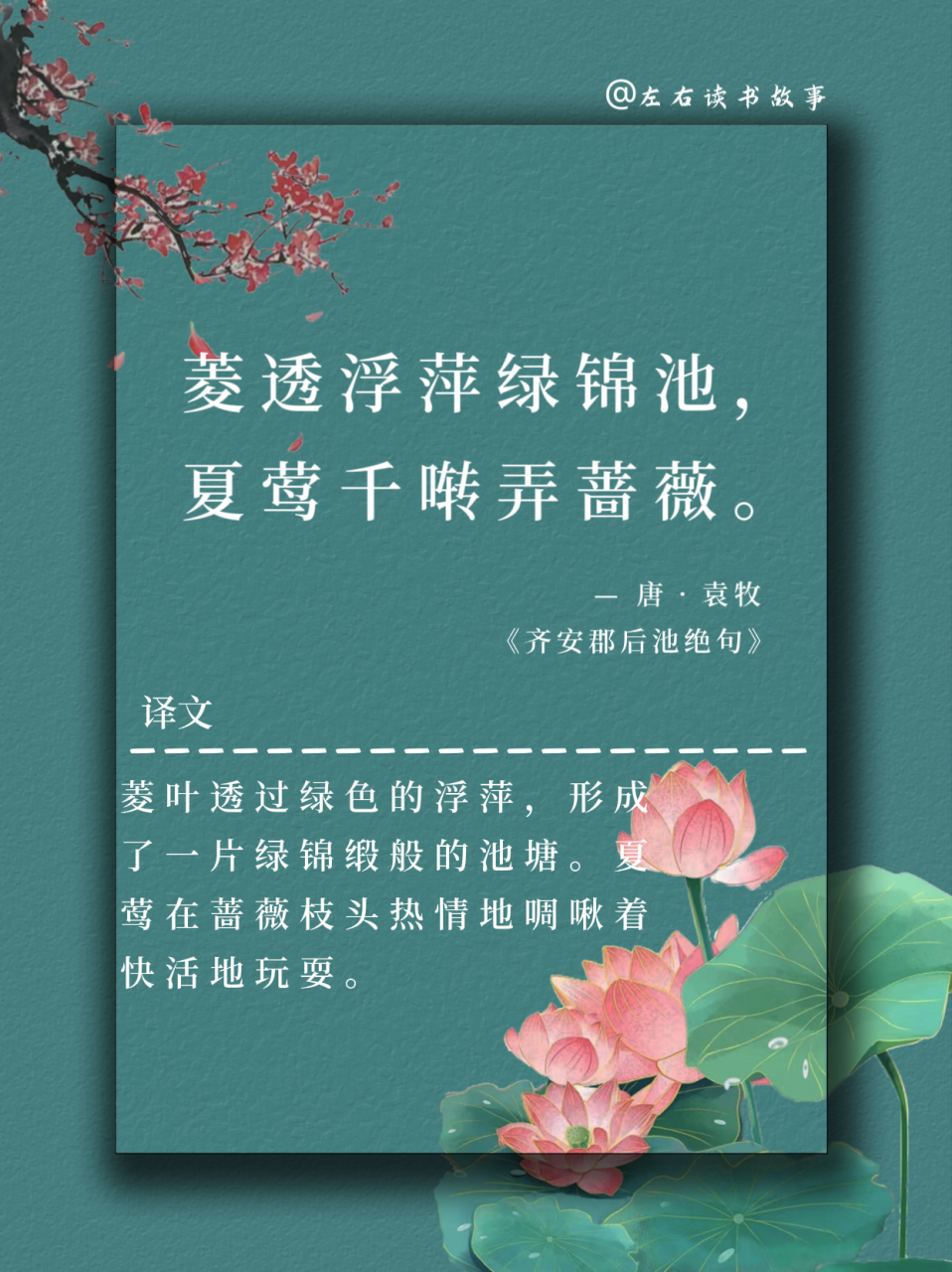 《齐安郡后池绝句》 唐61杜牧 菱透浮萍绿锦池,夏莺千啭弄蔷薇.