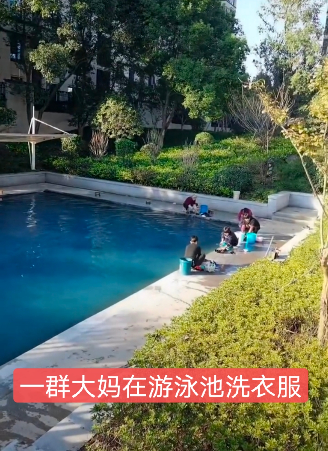 杭州:大妈在小区游泳池洗尿布,网友:800万的房子,8毛钱的素质
