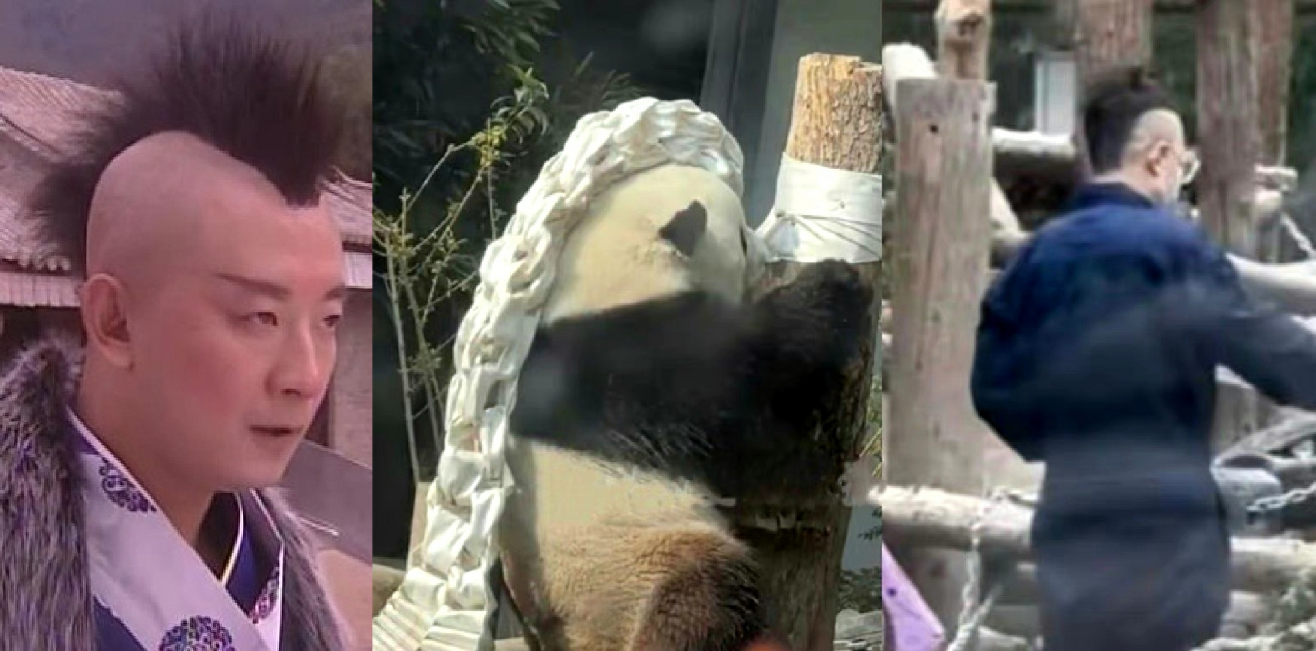 2023年最火造型,影子猪,萌兰,徐姥爷同款  你值得拥有,没想到这个发型