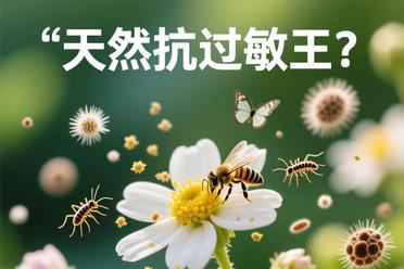 关于蜂蜜会过敏还是抗过敏的信息