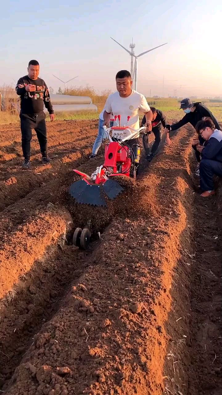 大姜大葱烟草甘蔗开沟培土机