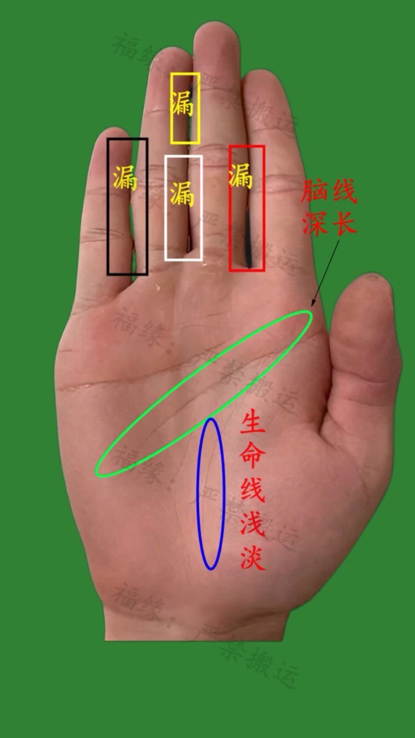 木型手的人福运薄!