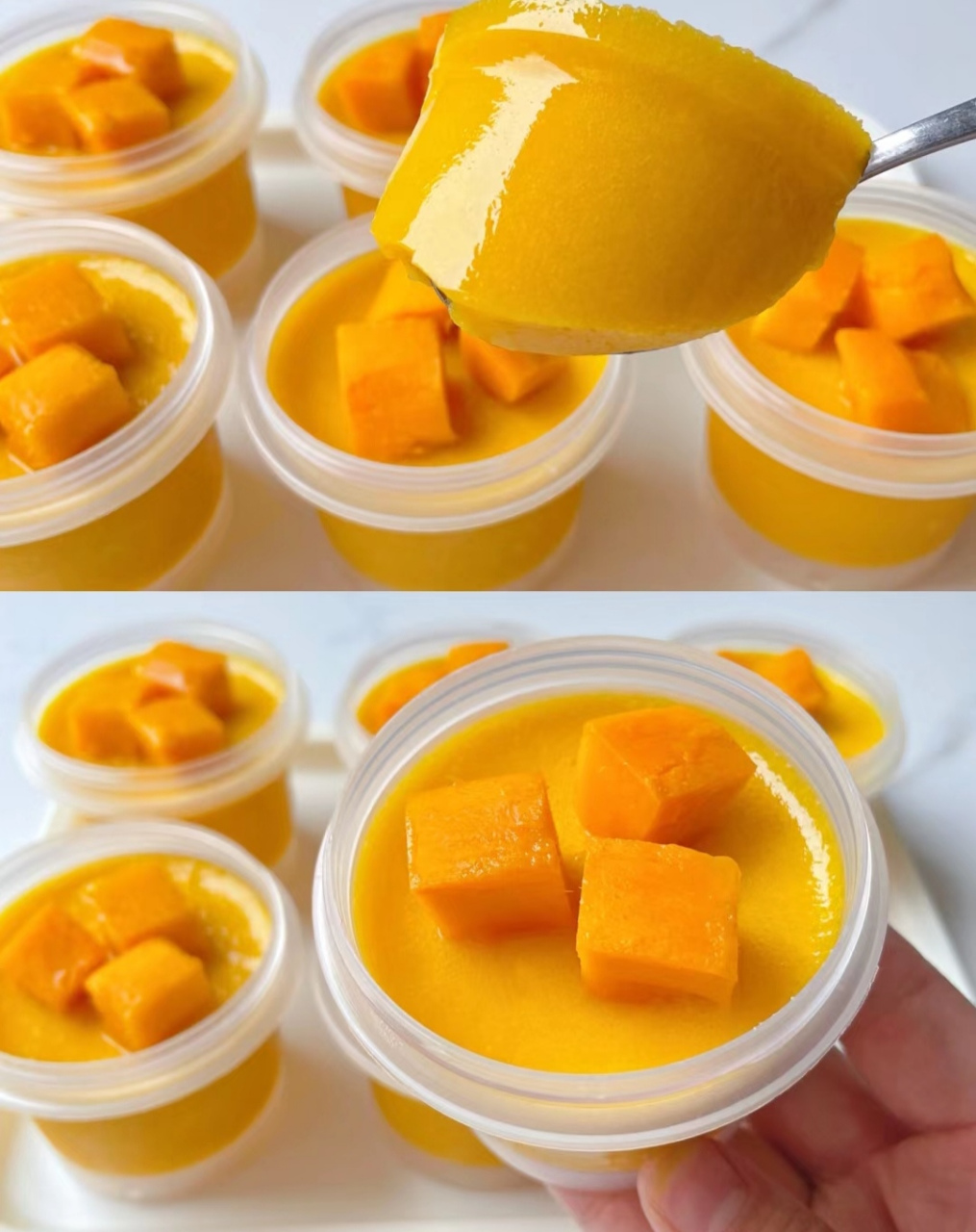 夏日甜品——芒果奶冻
