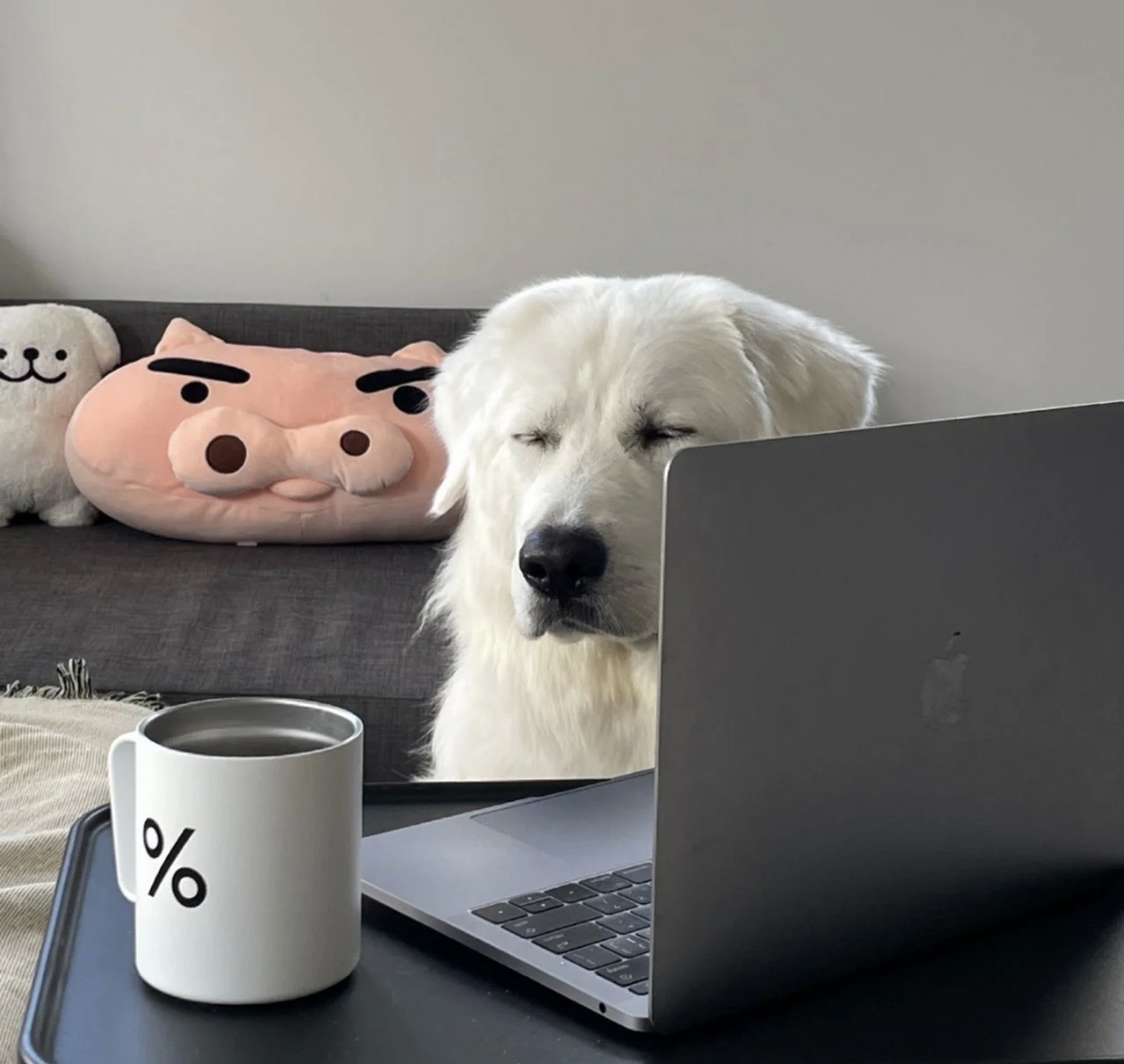 怎么又要上班啊 五一假后上班狗表情包