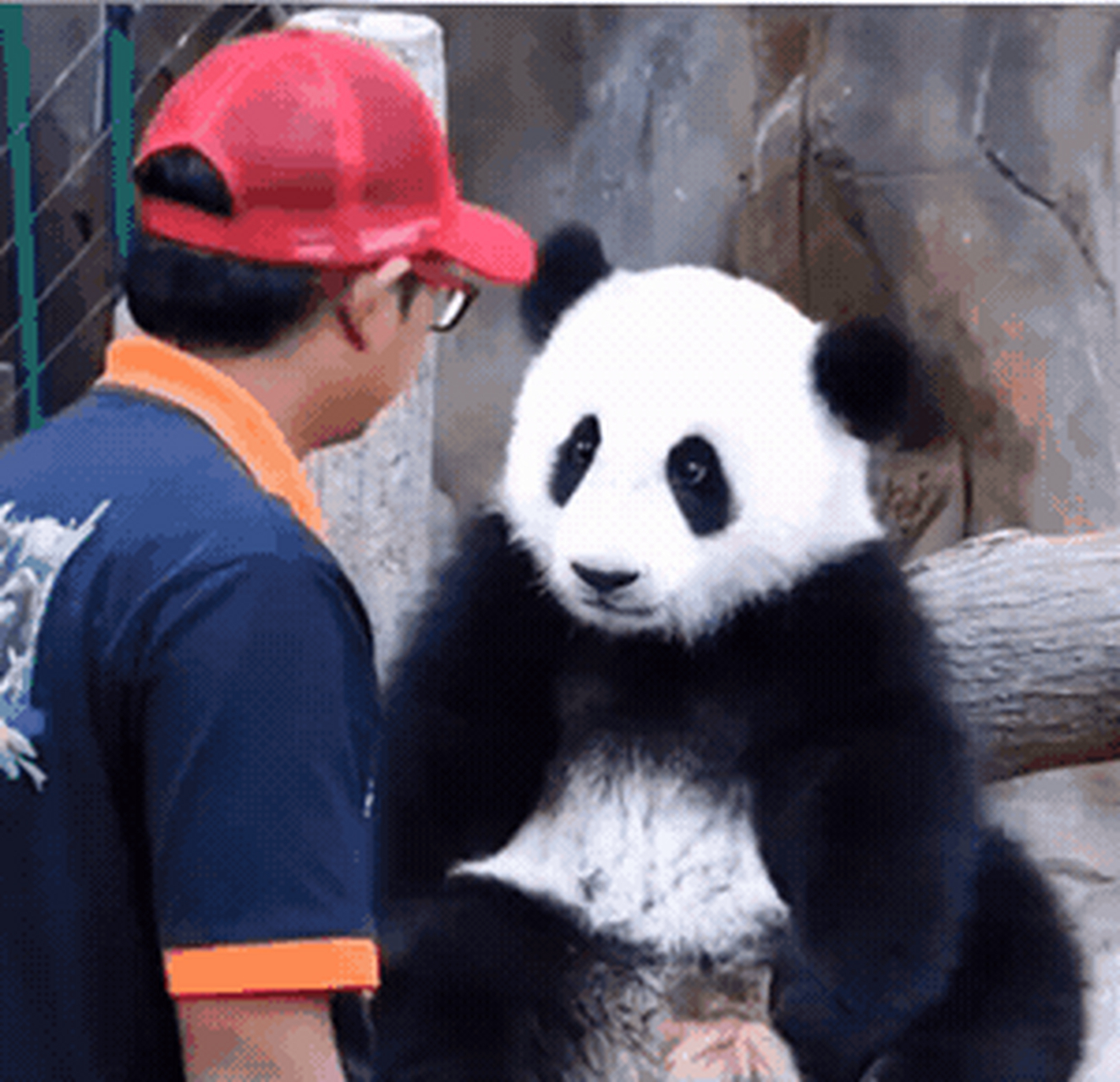 很高兴马来西亚的奶爸会来看暖暖,有时候当年的分别就是一辈子,如今