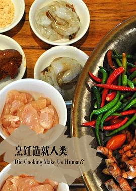 《 地平线系列：烹饪造就人类吗》传奇世界战士突斩突不准