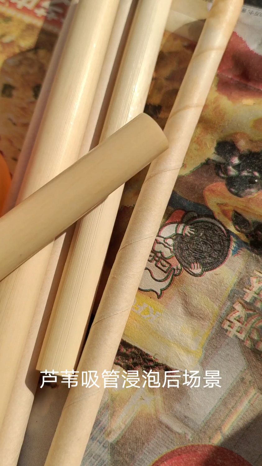芦苇吸管浸泡场景鲁苇吸管植物做成冷热皆可不糊不软