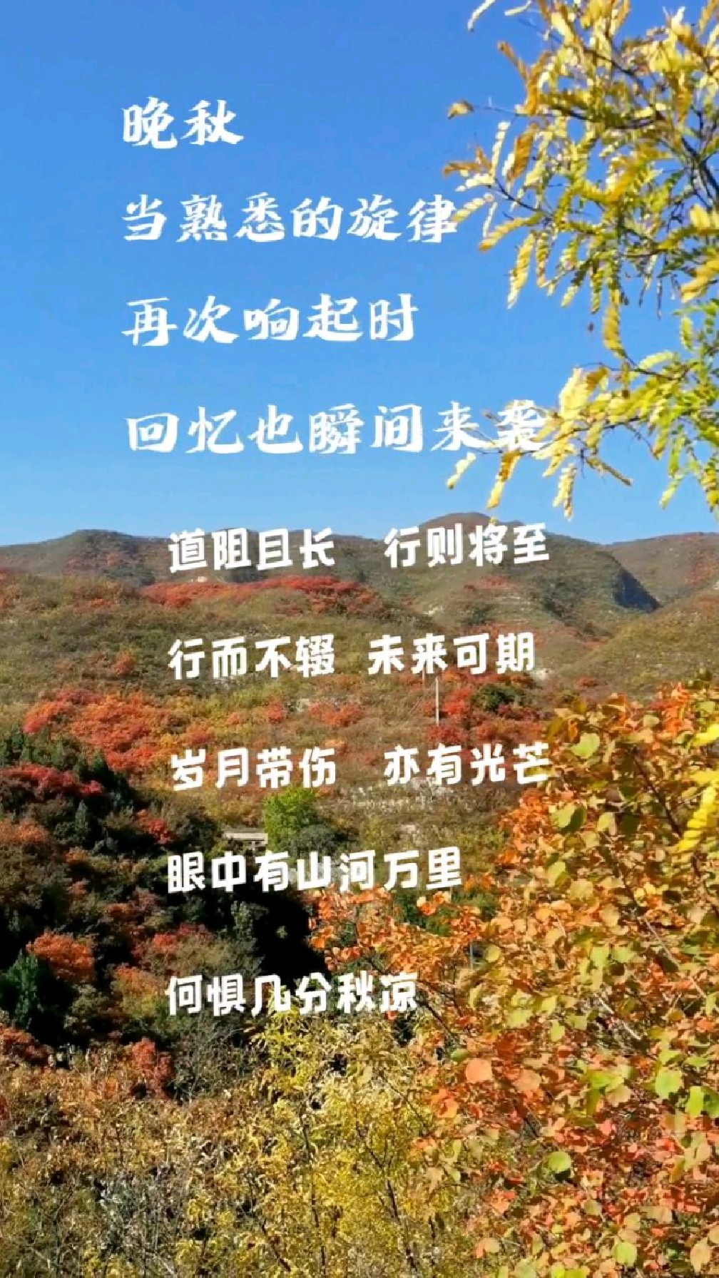 岁月带伤,亦有光芒,眼中有山河万里,何惧l几分秋凉-度小视