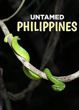 野性菲律宾第一季