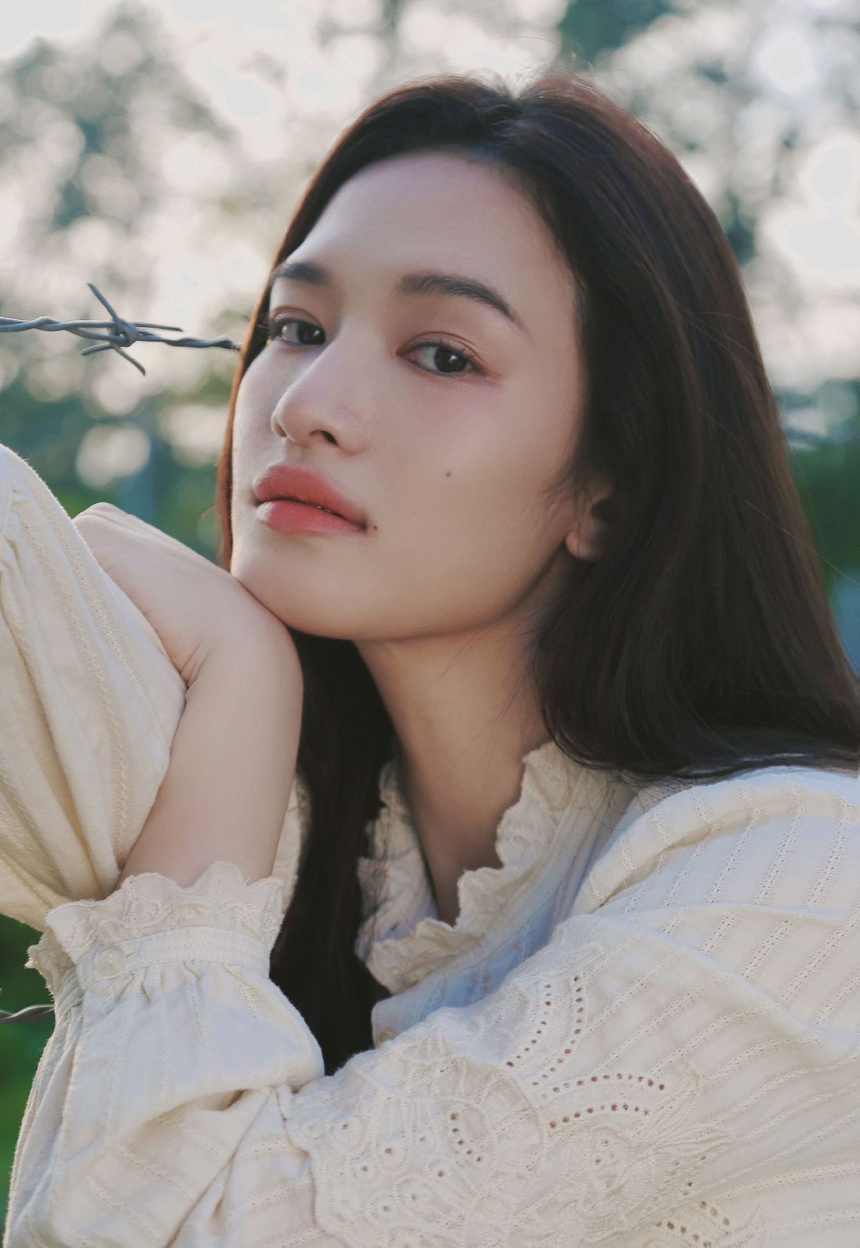 明星写真美图|张柏嘉