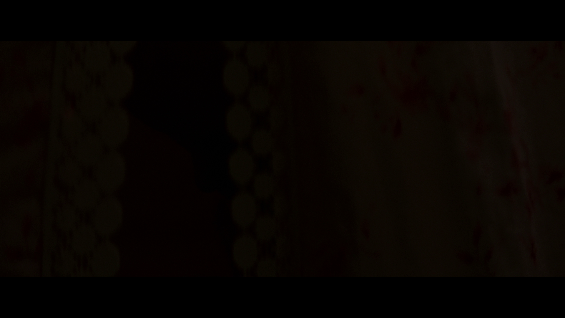 蓝光原盘&REMUX[新生化危机].2021.1080p.BluRay.REMUX.AVC.DTS-HD.MA.TrueHD.7.1-FGT 29.47GB
