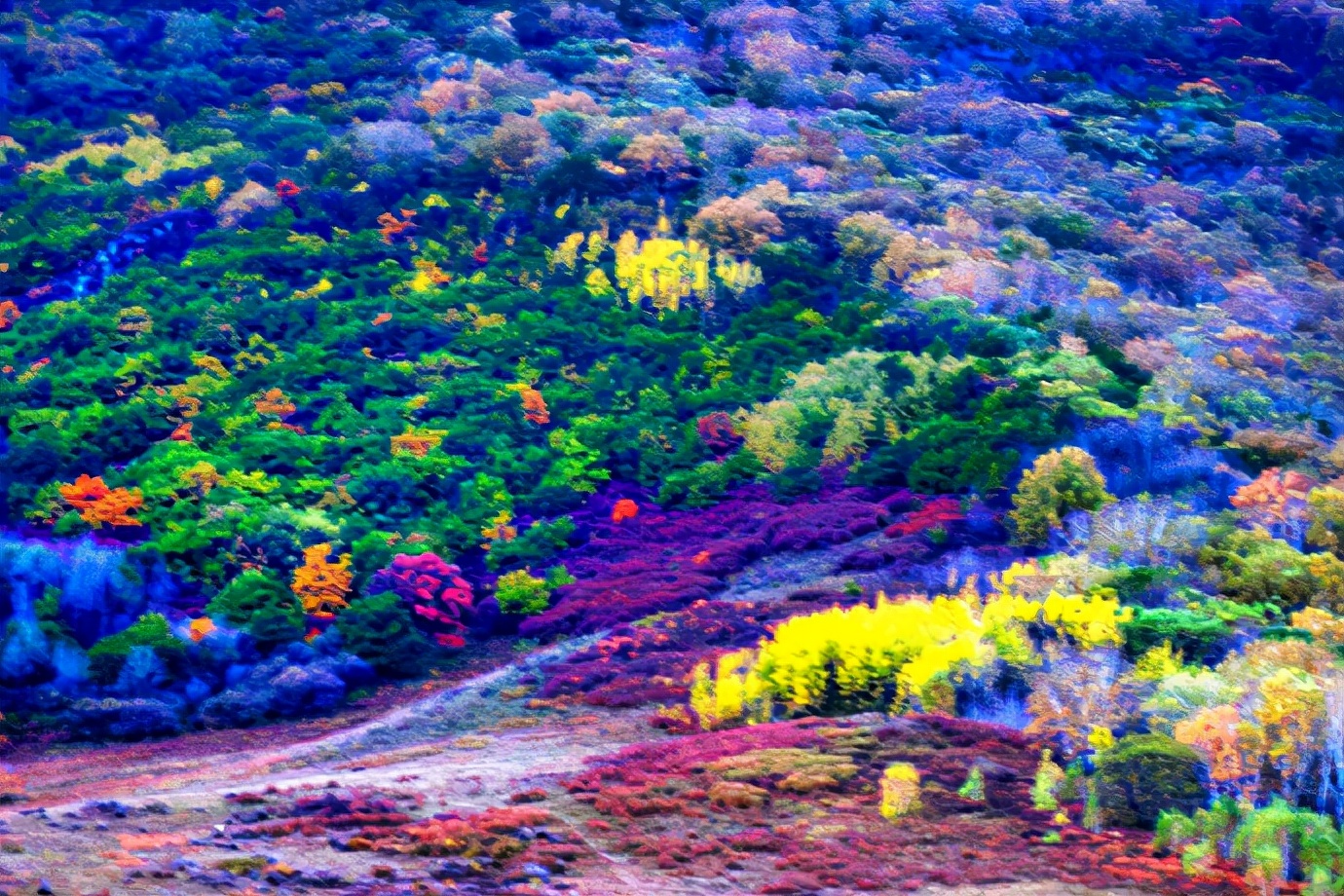 赏秋胜地乌兰布统,人少景美不堵车