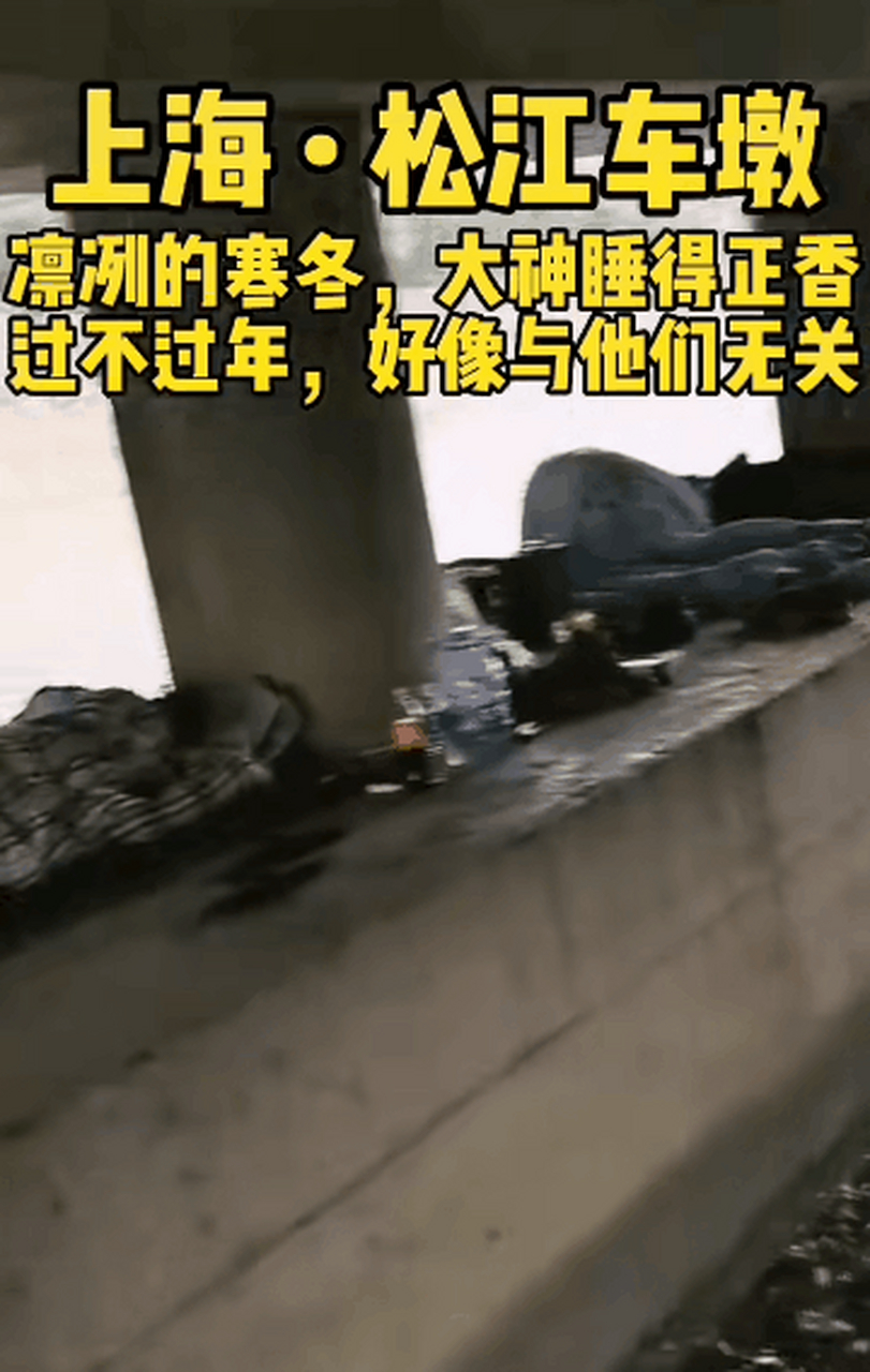 上海松江车墩,一群大神席地而睡.