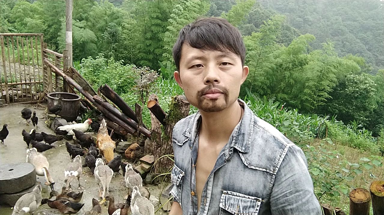 农村小伙养鸡跟别人不一样,土鸡养成了野鸡