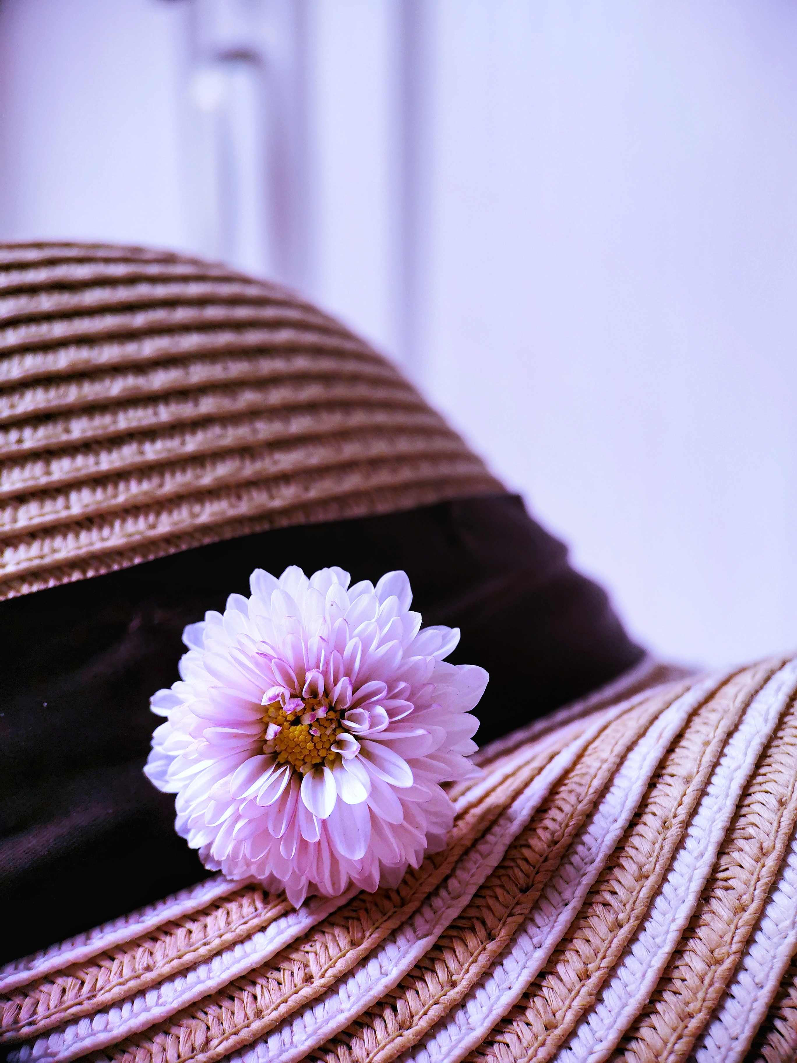 《考察摄影师的构图能力,局部特写是一道重要的考题》