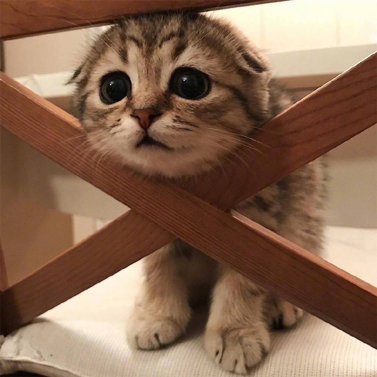 被卡住了,谁能帮帮我