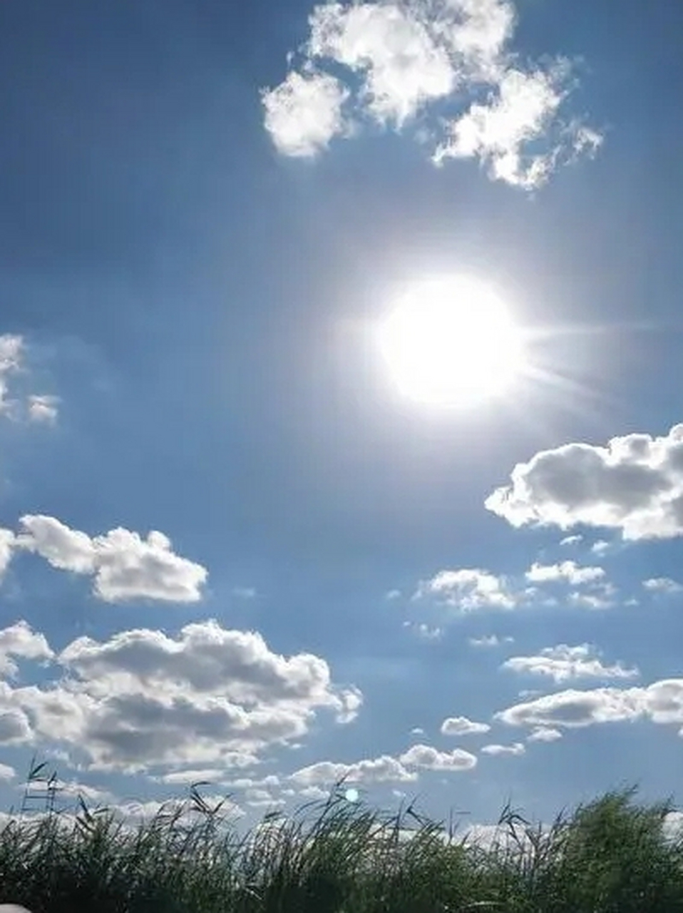 火红的太阳照大地图片图片