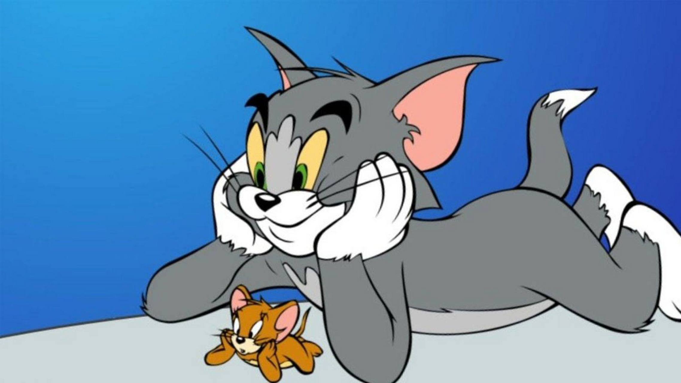 《汤姆和杰瑞》小时候看是个动画,基本都是杰瑞在整蛊汤姆,但是大了