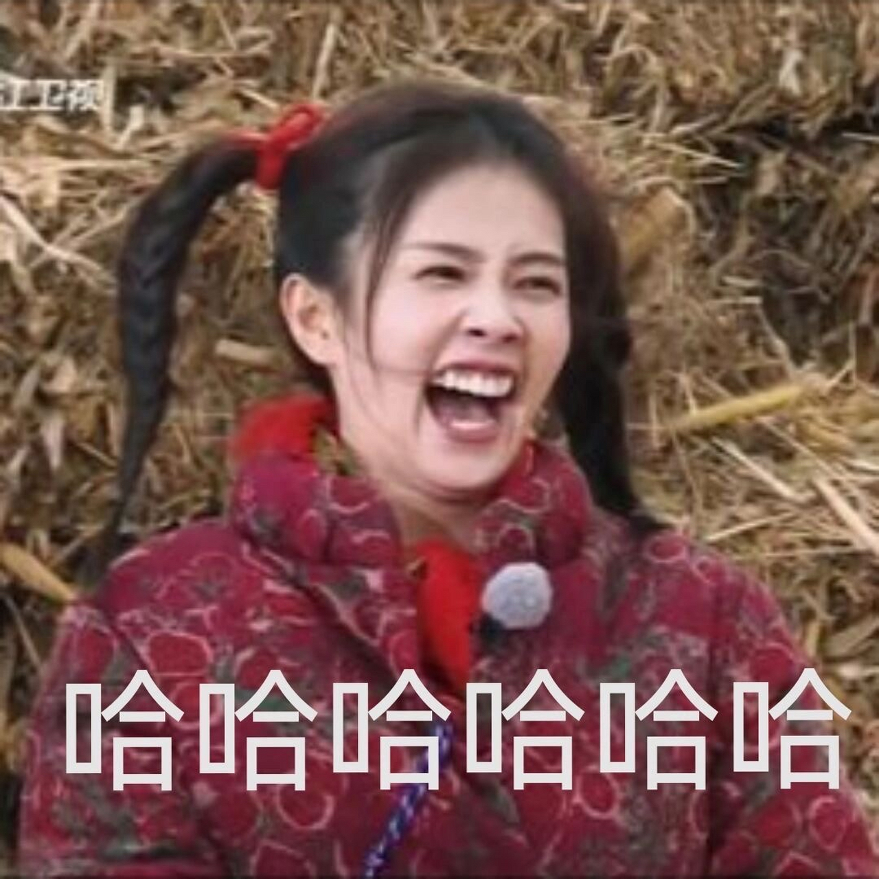 看到她大笑的表情包真的狠狠被治愈了,再也没有烦恼了