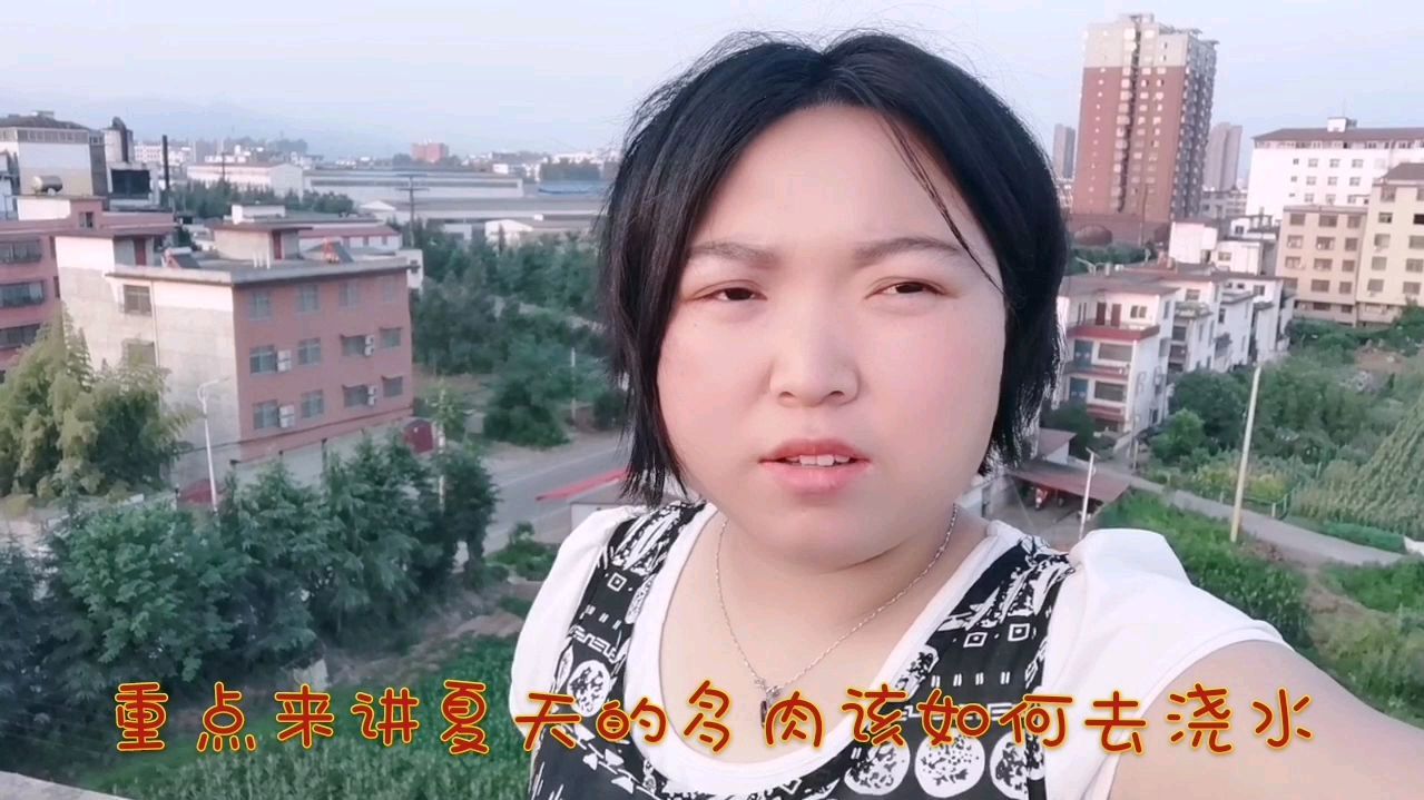 夏天多肉该怎么浇水?只要三点轻松搞定