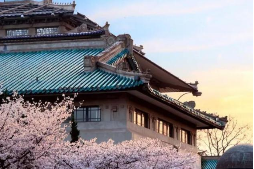 国立武汉大学是几本?