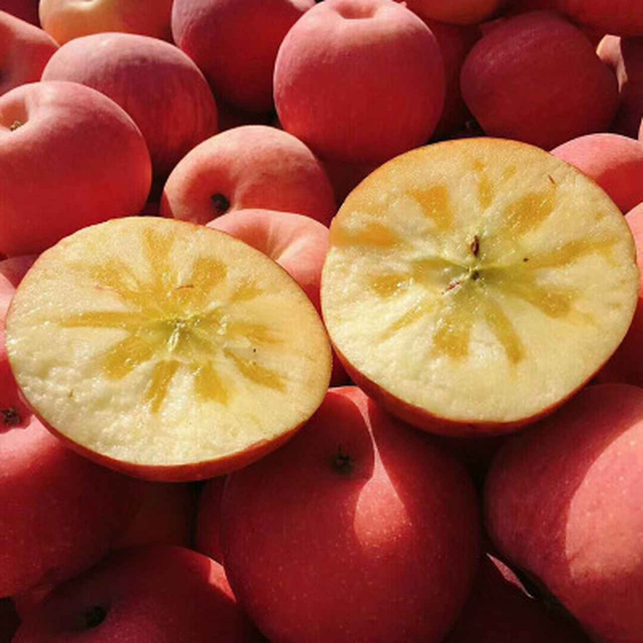 红富士苹果可以调节肠胃功能,降低胆固醇,降血压,防癌,减肥,现在研究