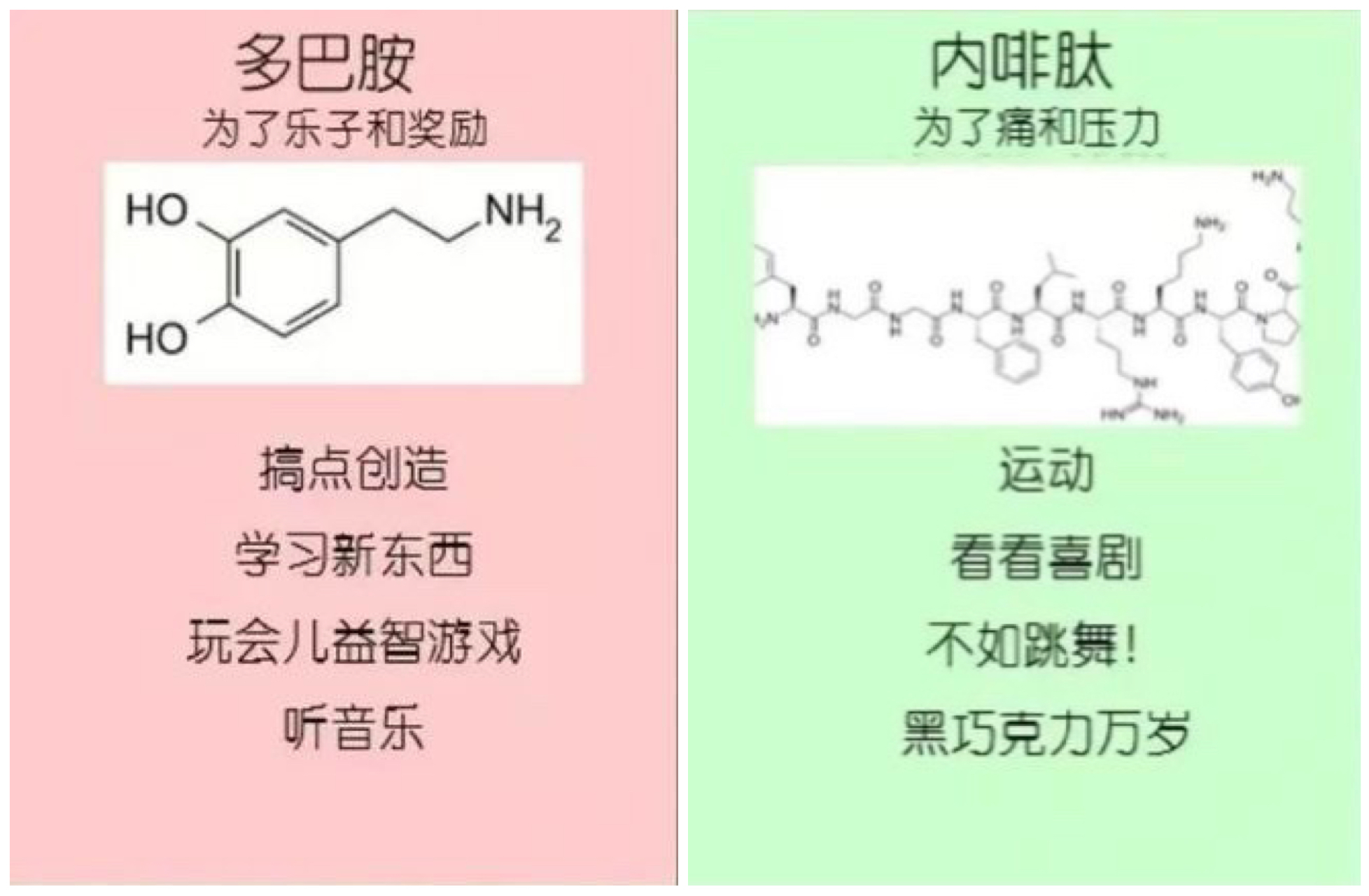 菜鸟才用多巴胺,而高手追求内啡肽