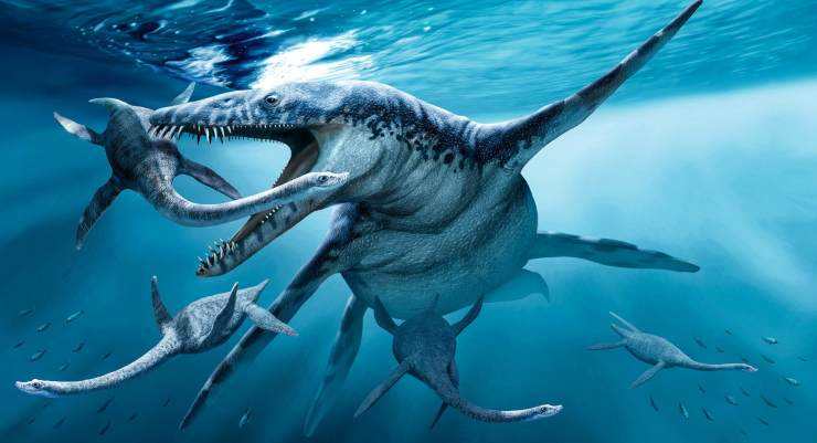 方舟生存进化:自带外挂的龙《滑齿龙》驯服攻略!