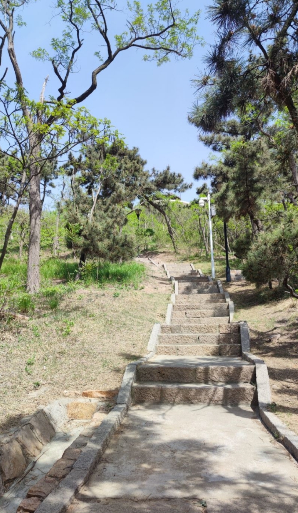青岛烟墩山公园 可远观胶州湾大桥和胶济铁路的山头小公园