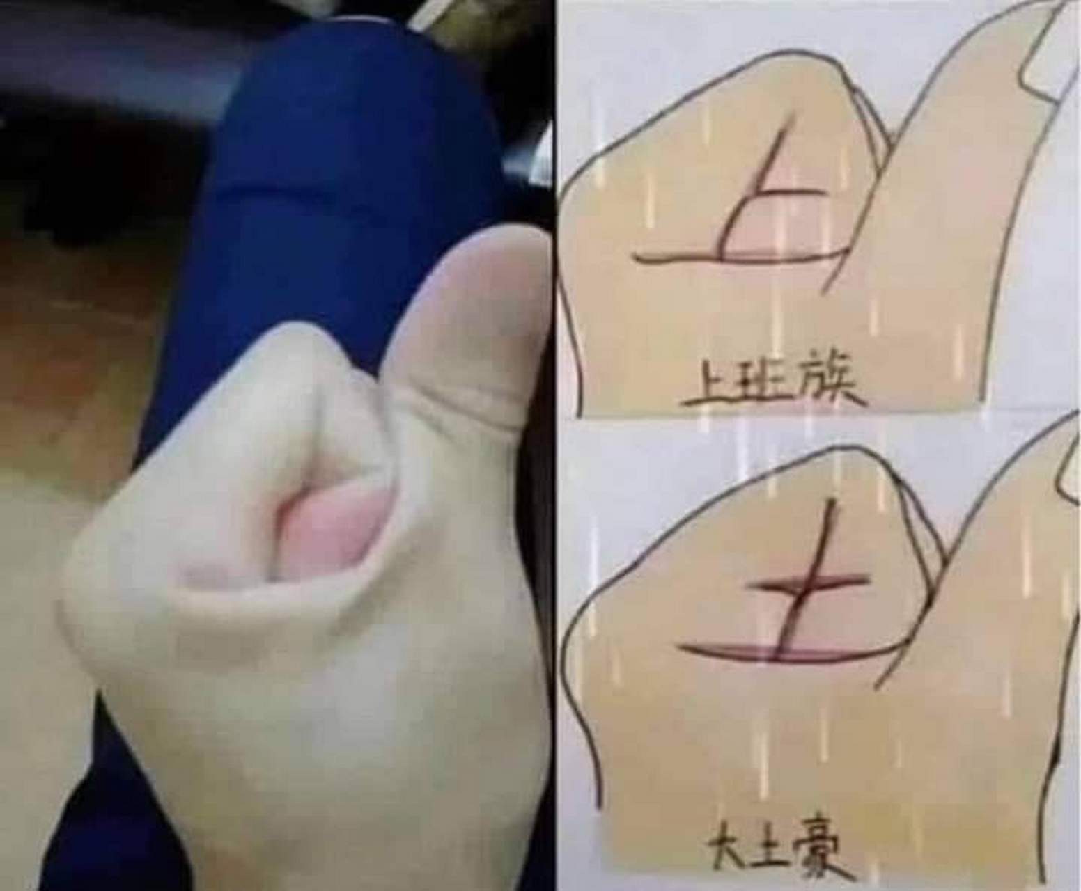 看看你是上班族还是大土豪