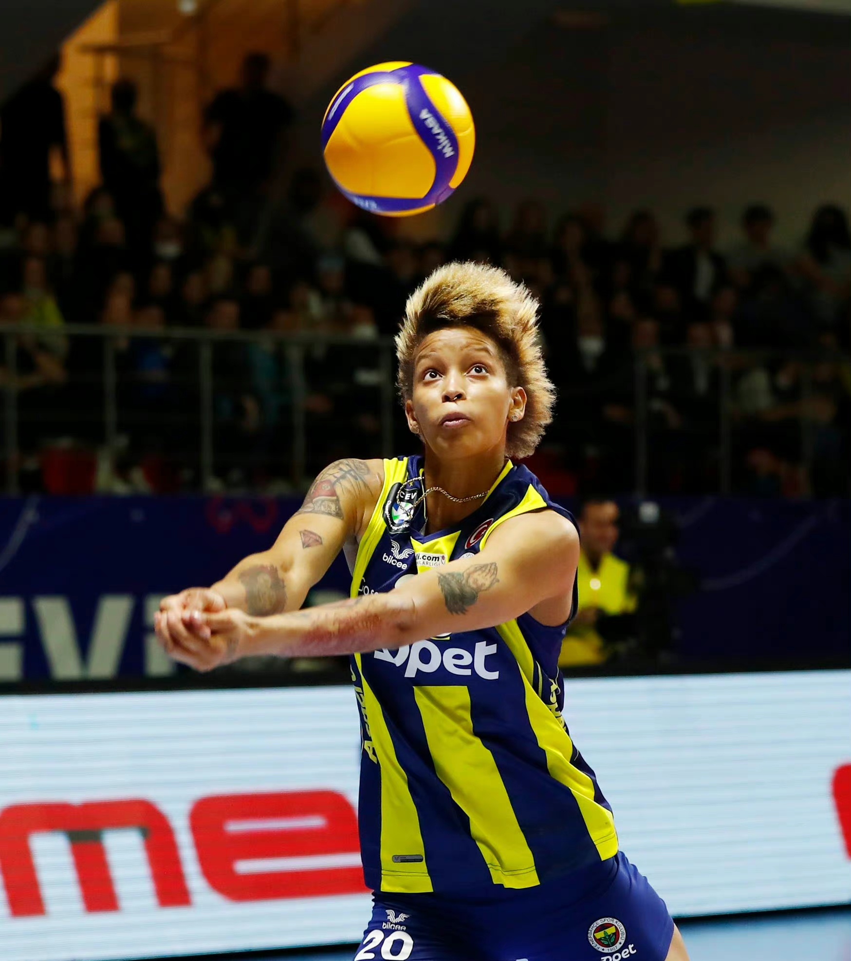 瓦尔加斯21分效率高,费内巴切女排胜伊萨,博斯科维奇26分难赢球