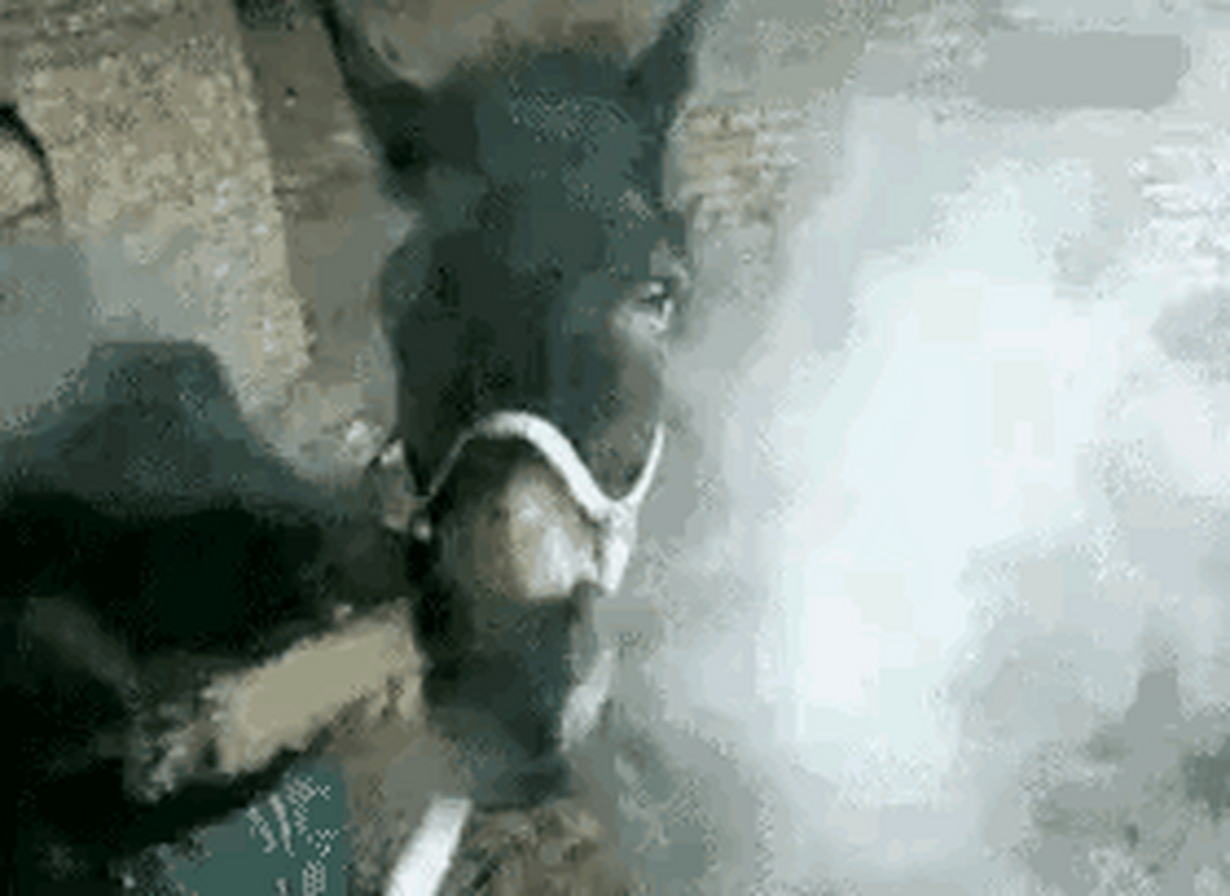 驴也吸烟了,吸的是吐烟吧#gif创作人# .