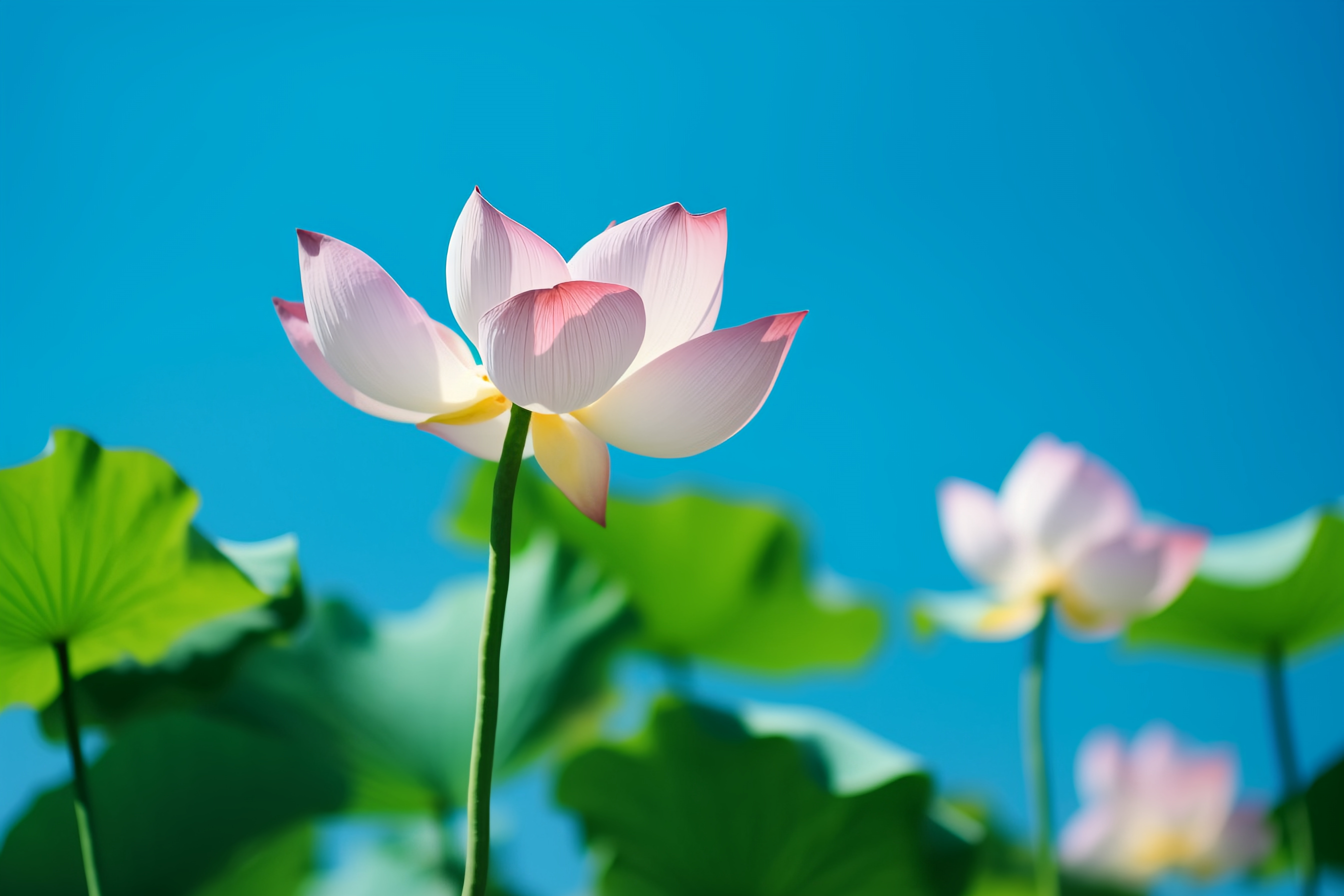 天蝎座男生的性格