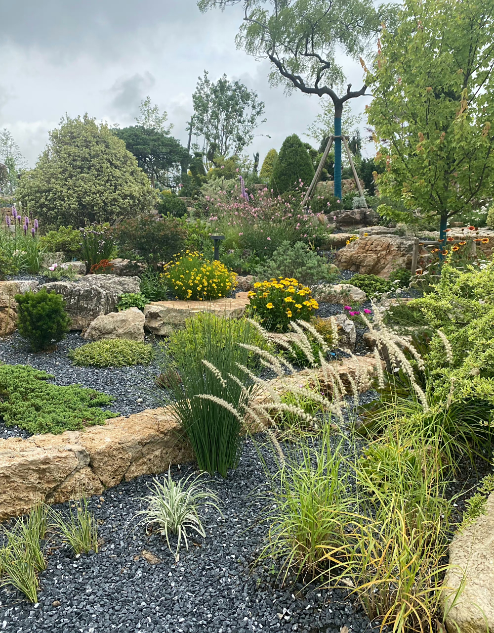 植物大赏上海植物园记录|岩石花园  暂未开放的北区新建岩石园,模拟岩