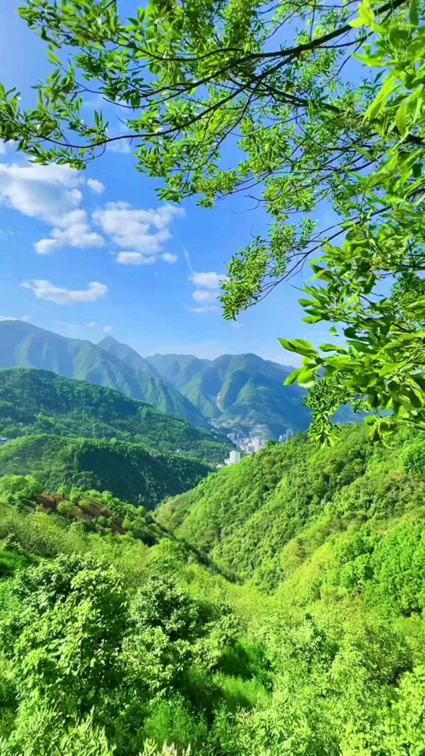 风轻云淡,春光明媚
