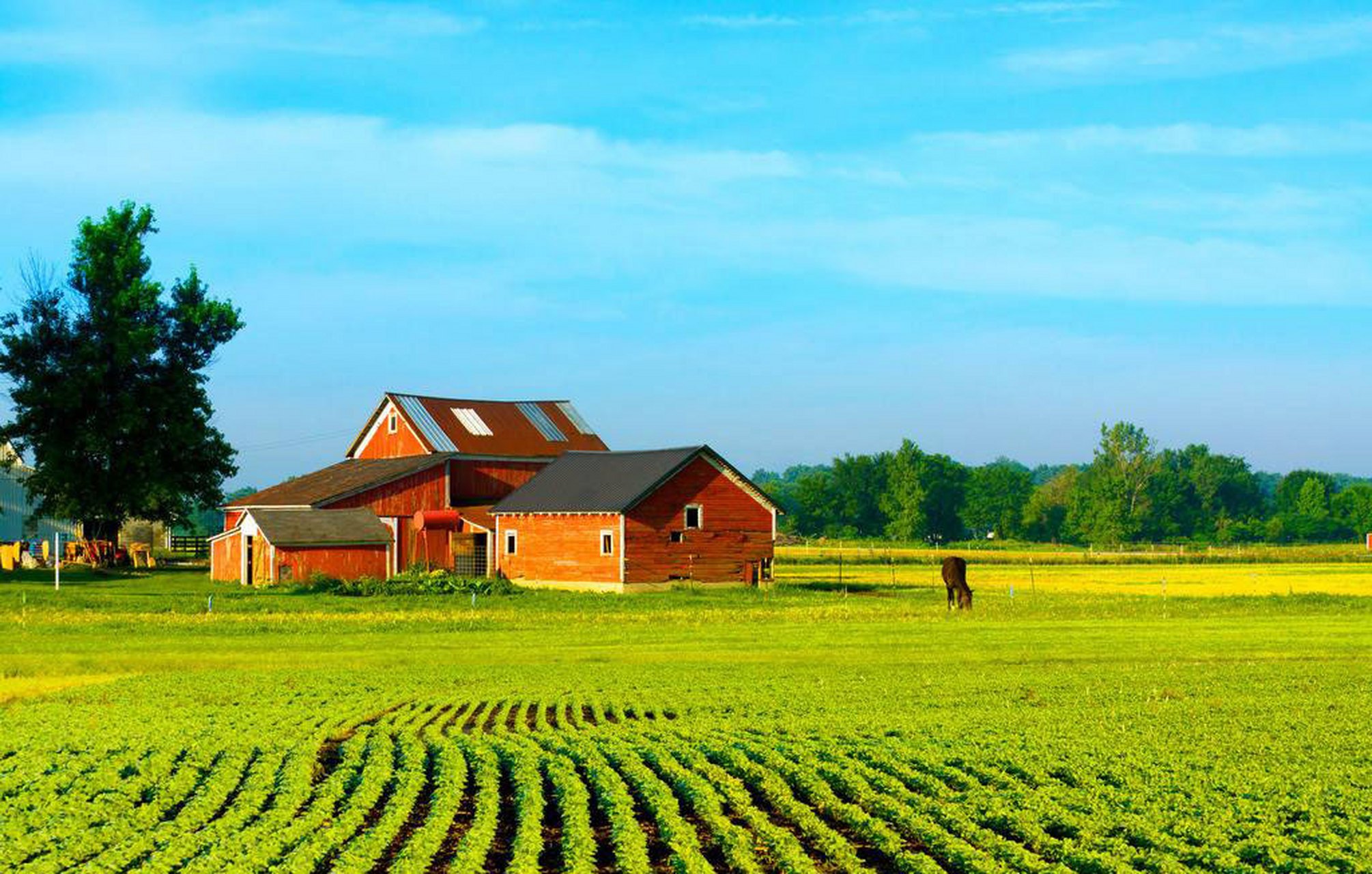 追寻自然纯真,沉美国农村的向往生活92 美国的农村地区通常被广阔的