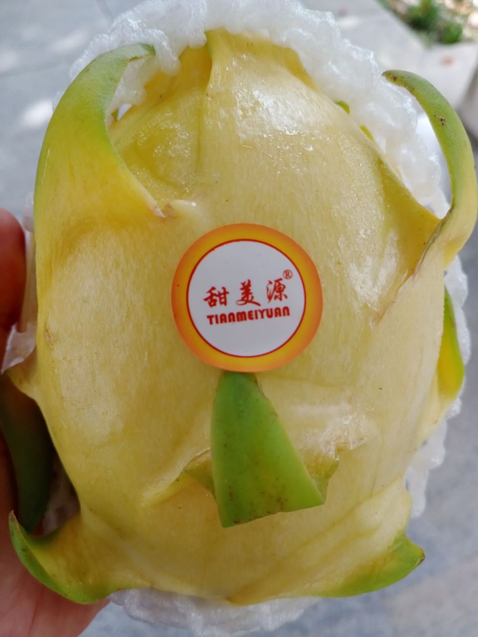 夜宵包子黄金火龙果[吃鲸]