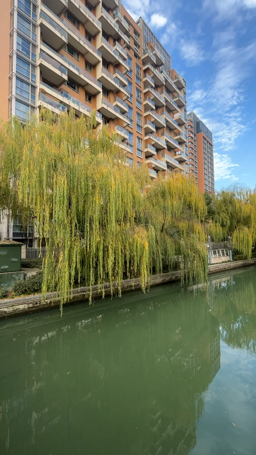 苏州园区仁恒双湖湾,137平新装修没住过