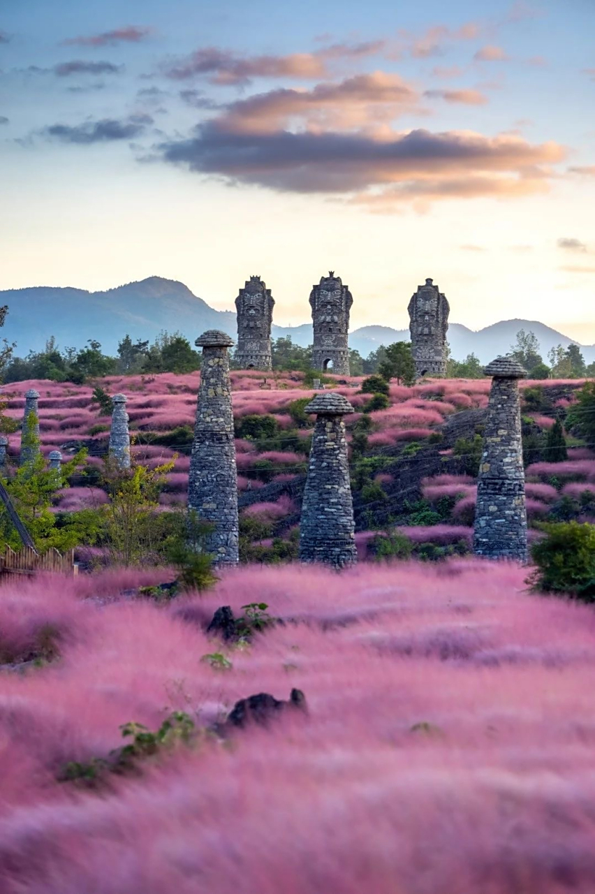 重庆酉阳叠石花谷 期待美好相遇 一起去粉红色的世界吧……#渝见秋日