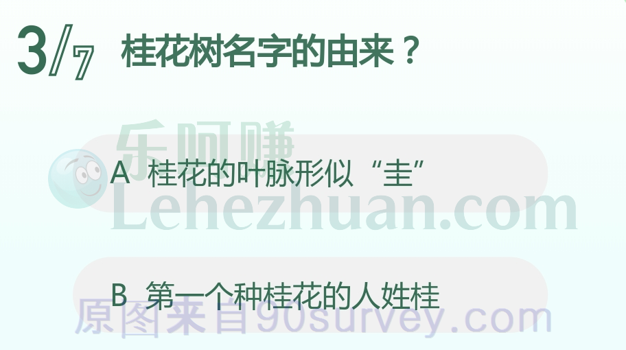 桂花的叶脉形似圭 桂花的叶脉形似圭