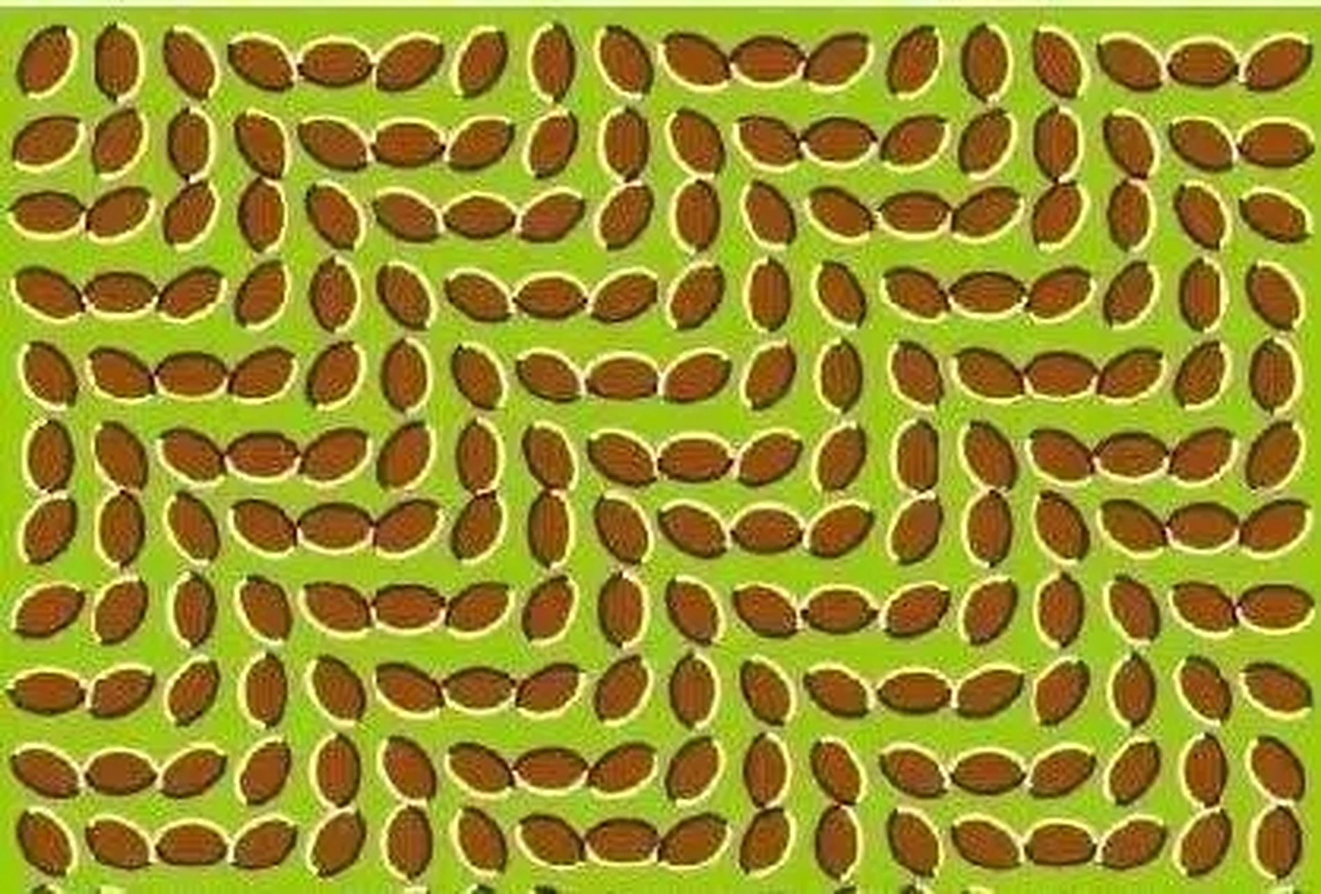 诡异的心理测试图!图片在动吗?还是静止的?动的越厉害,心理压力越大!