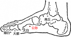 穴位養生-足太陰脾經