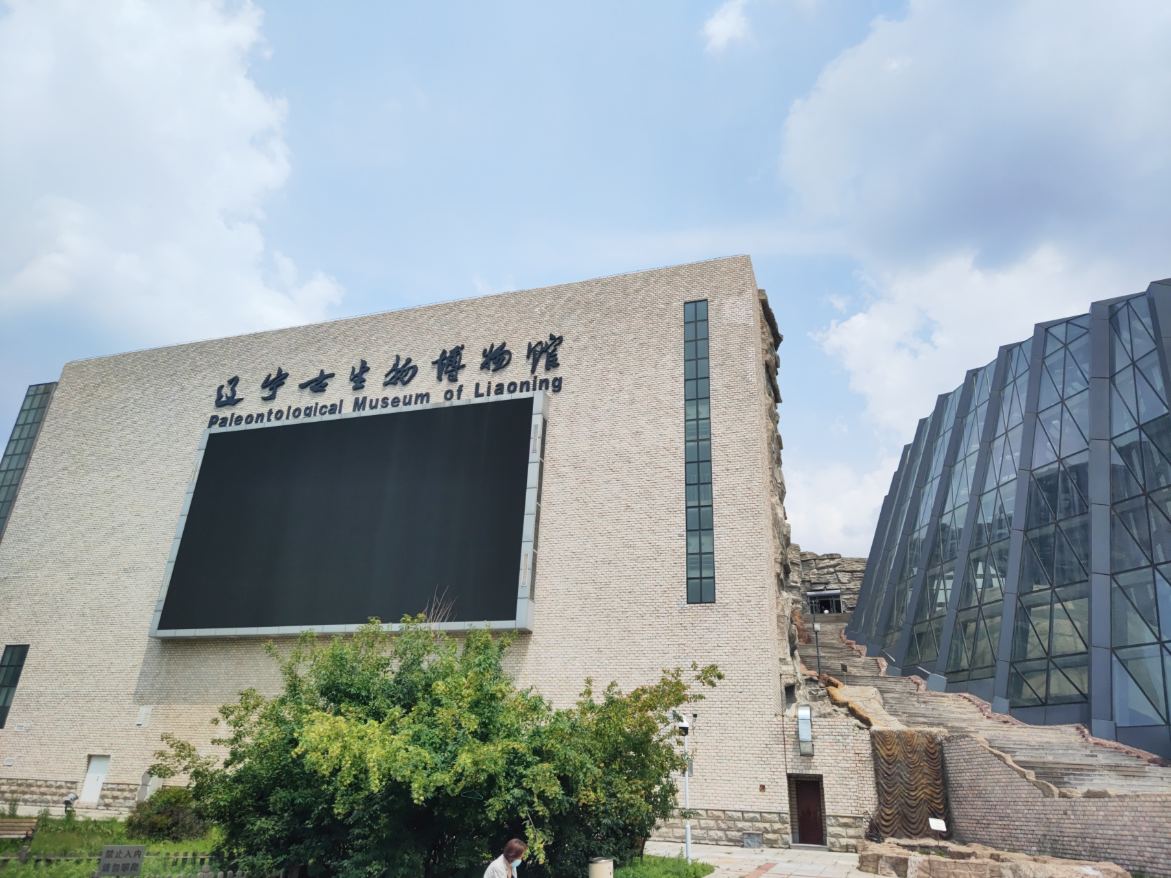 深圳古生物博物馆门票图片