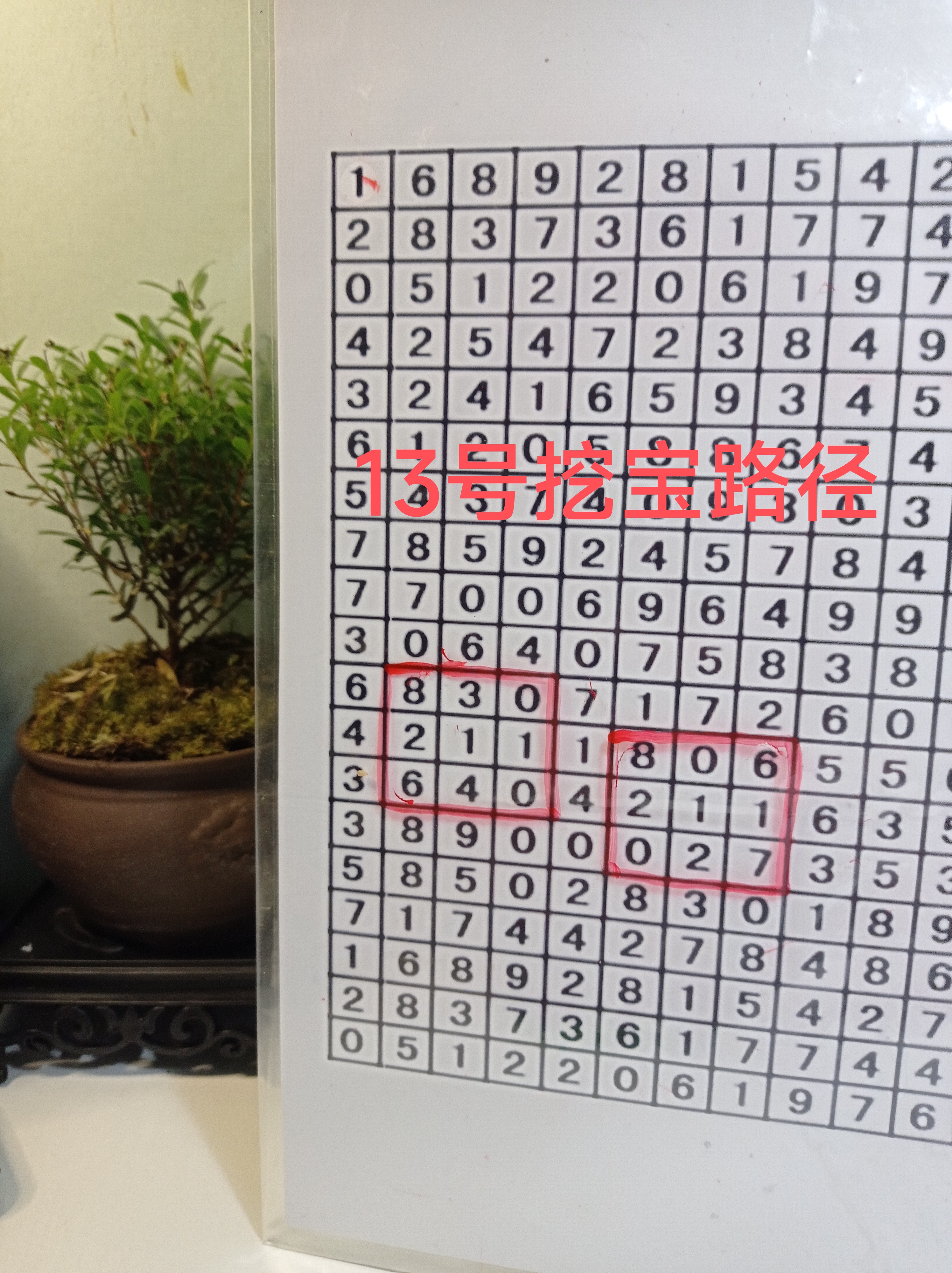 今天是11月14号,宝图挖宝路径已出,供大家参考.