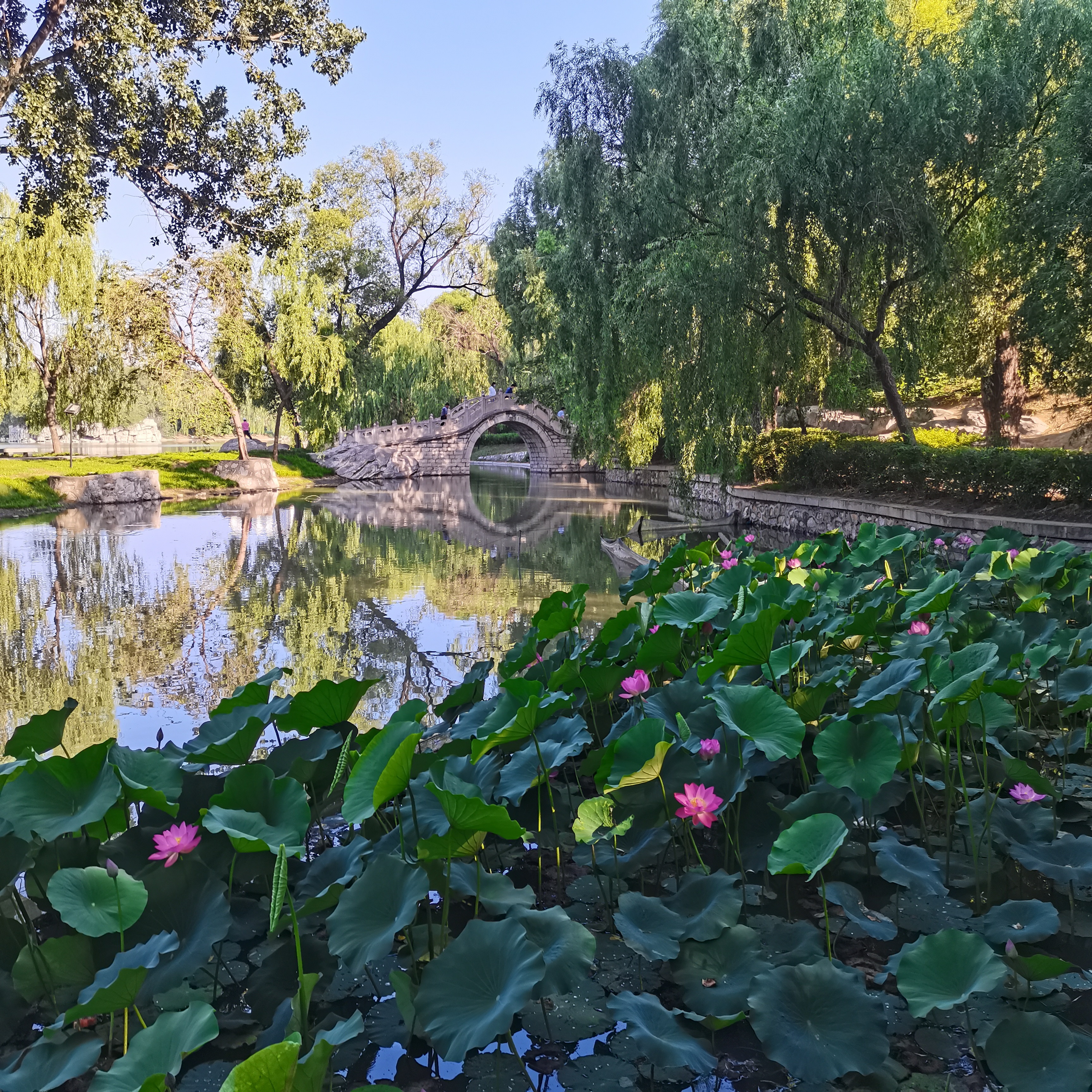 河北省邢臺市達活泉公園美景