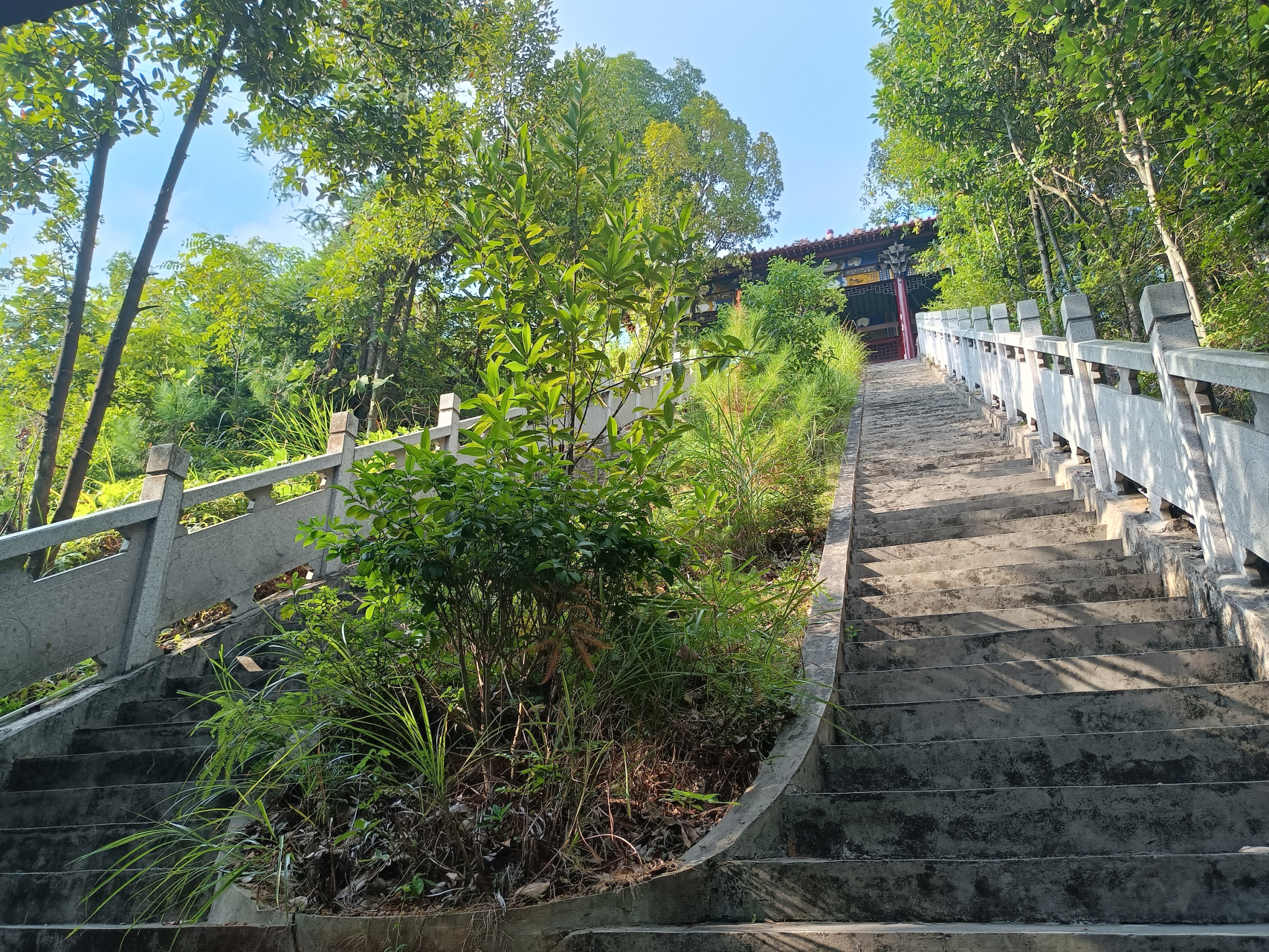 江西东山寺图片