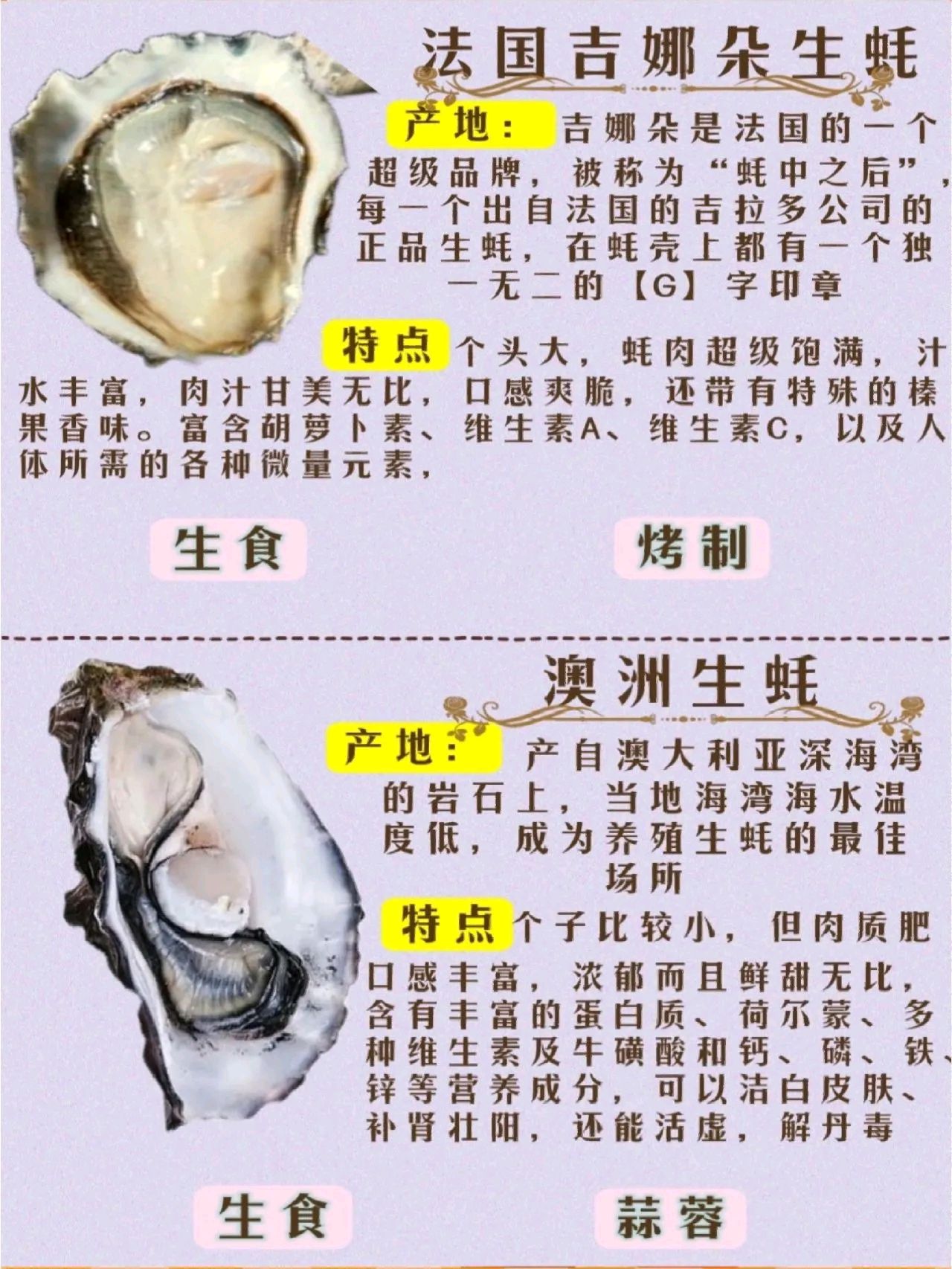 常见生蚝及营养价值