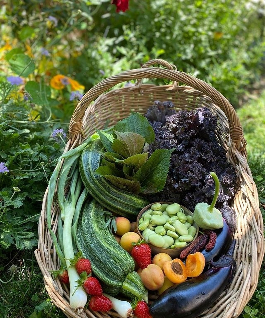 夏季是菜园丰收的好时节979195"你送出去的每颗糖都去了该去的