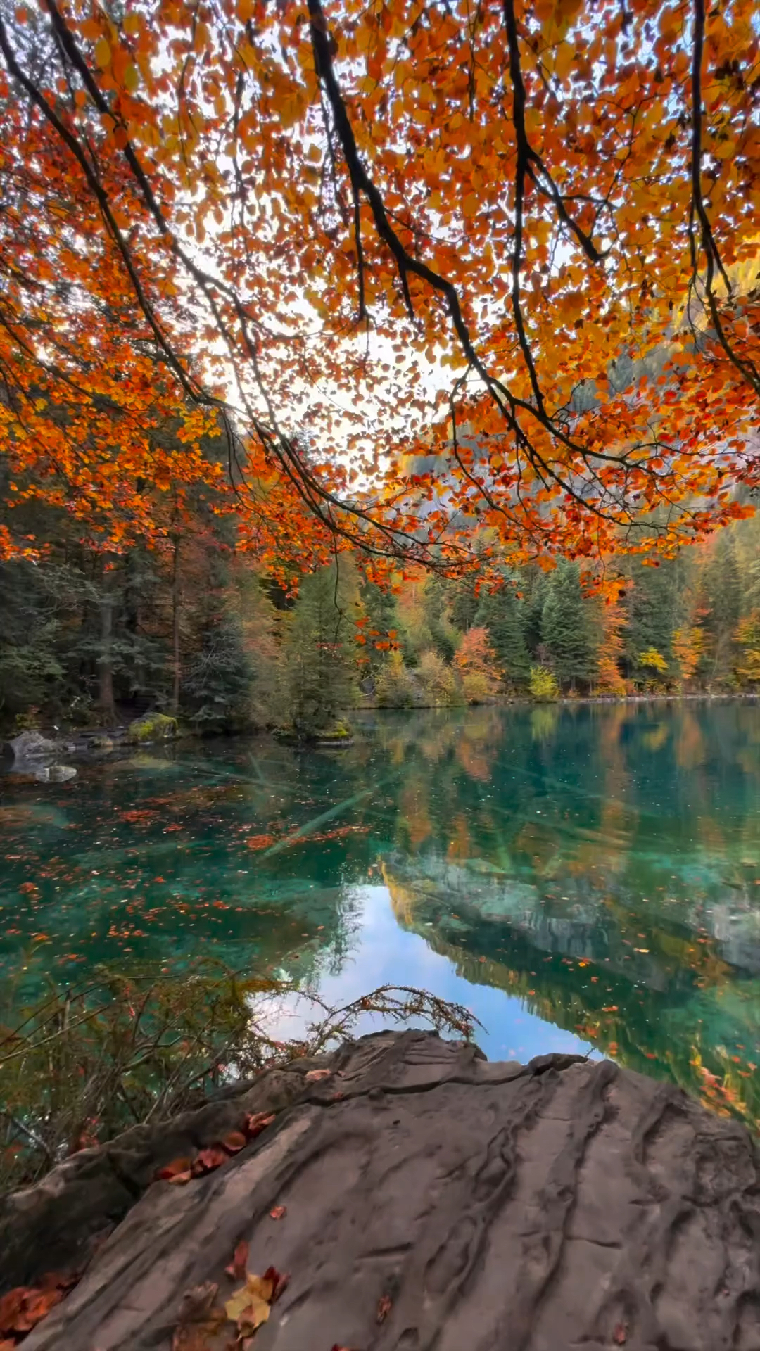 风景如画的地方